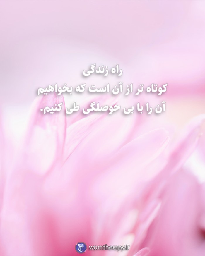 راه زندگی کوتاه تر از آن است که بخواهیم  آن را با بی حوصلگی طی کنیم.