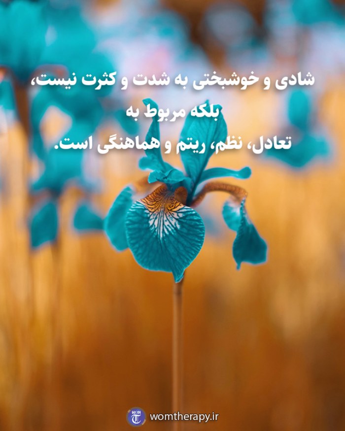 شادی و خوشبختی به شدت و کثرت نیست، بلکه مربوط به تعادل، نظم، ریتم و هماهنگی است.