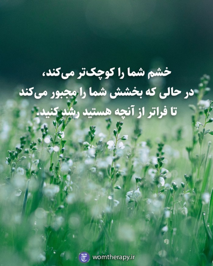 خشم شما را کوچکتر میکند، در حالی که بخشش شما را مجبور میکند تا فراتر از آنچه هستید رشد کنید.