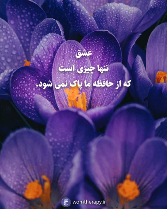 عشق  تنها چیزی است  که از حافظه ما پاک نمی شود.