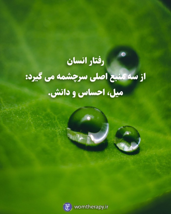 رفتار انسان از سه منبع اصلی سرچشمه می گیرد: میل، احساس و دانش.