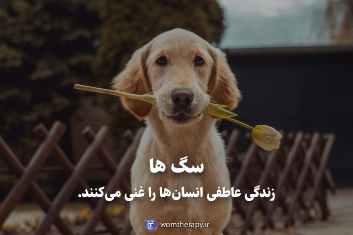 سگ ها زندگی عاطفی انسان‌ها را غنی می‌کنند.
