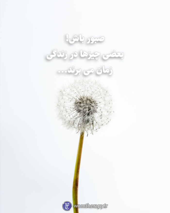 صبور باش! بعضی چیزها در زندگی زمان می برند...