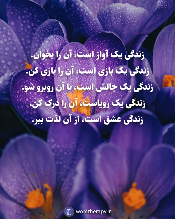 زندگی یک آواز است، آن را بخوان. زندگی یک بازی است، آن را بازی کن. زندگی یک چالش است، با آن روبرو شو. زندگی یک رویاست، آن را درک کن. زندگی عشق است، از آن لذت ببر.