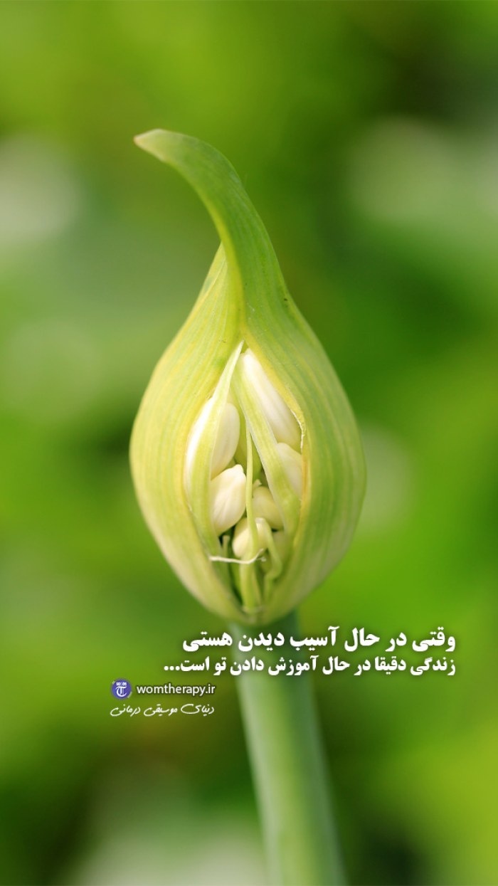 وقتی در حال آسیب دیدن هستی صبر پیشه کن