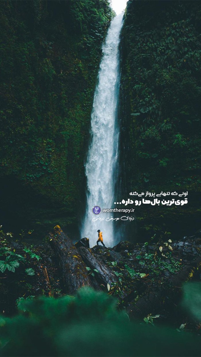 آن که تنها پرواز می کند قوی ترین بال ها را دارد