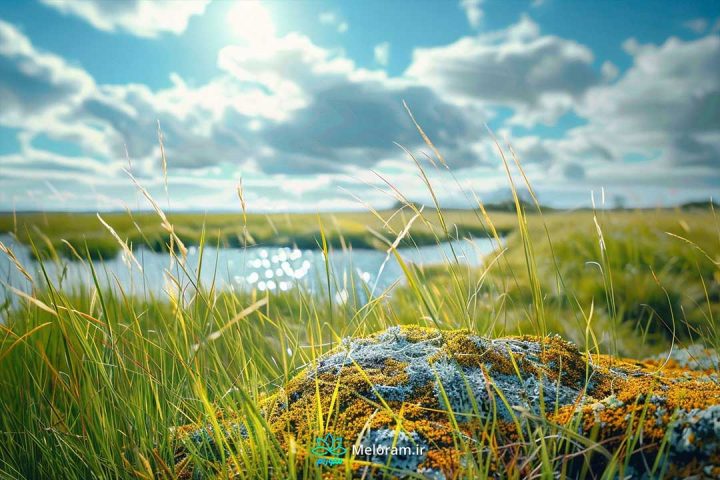 یک رودخانه شگفت انگیز در دل طبیعتی زیبا