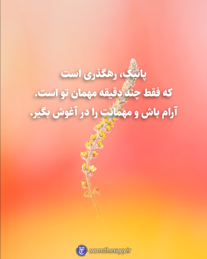 پانیک، رهگذری است که فقط چند دقیقه مهمان تو است. آرام باش و مهمانت را در آغوش بگیر.