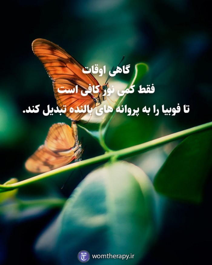 گاهی اوقات فقط کمی نور کافی است تا فوبیا را به پروانه های بالنده تبدیل کند.