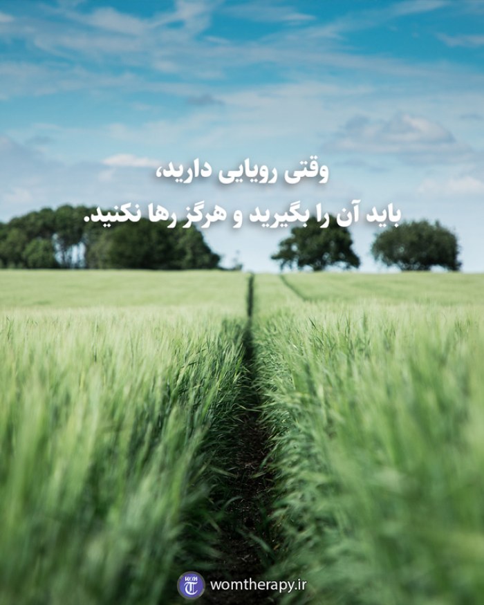 وقتی رویایی دارید، باید آن را بگیرید و هرگز رها نکنید.