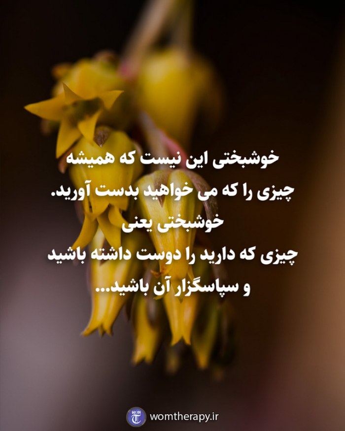 خوشبختی این نیست که همیشه چیزی را که می خواهید بدست آورید. خوشبختی یعنی چیزی که دارید را دوست داشته باشید و سپاسگزار آن باشید.