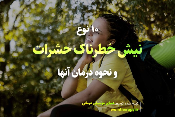 10 نوع نیش خطرناک حشرات و نحوه درمان آنها
