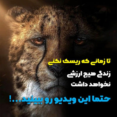 ریسک کن و ارزش بساز