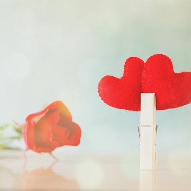 صحنه ای عاشقانه از دو قلب قرمز در کنار یک شاخه گل رز