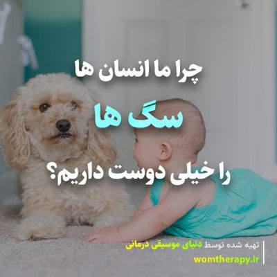 چرا ما سگ ها را خیلی دوست داریم؟ (به گفته روانشناسان)